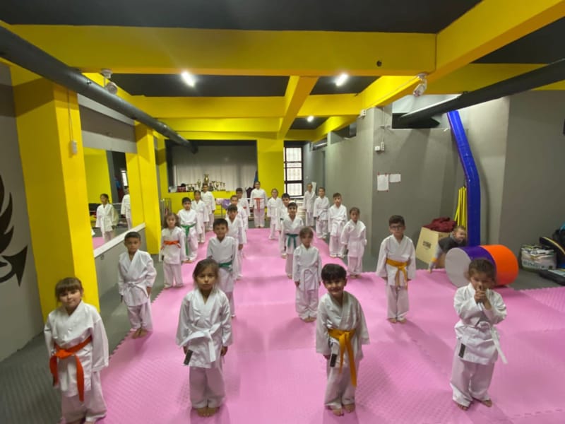 BARIŞ KILIÇ KARATE OKULLARI